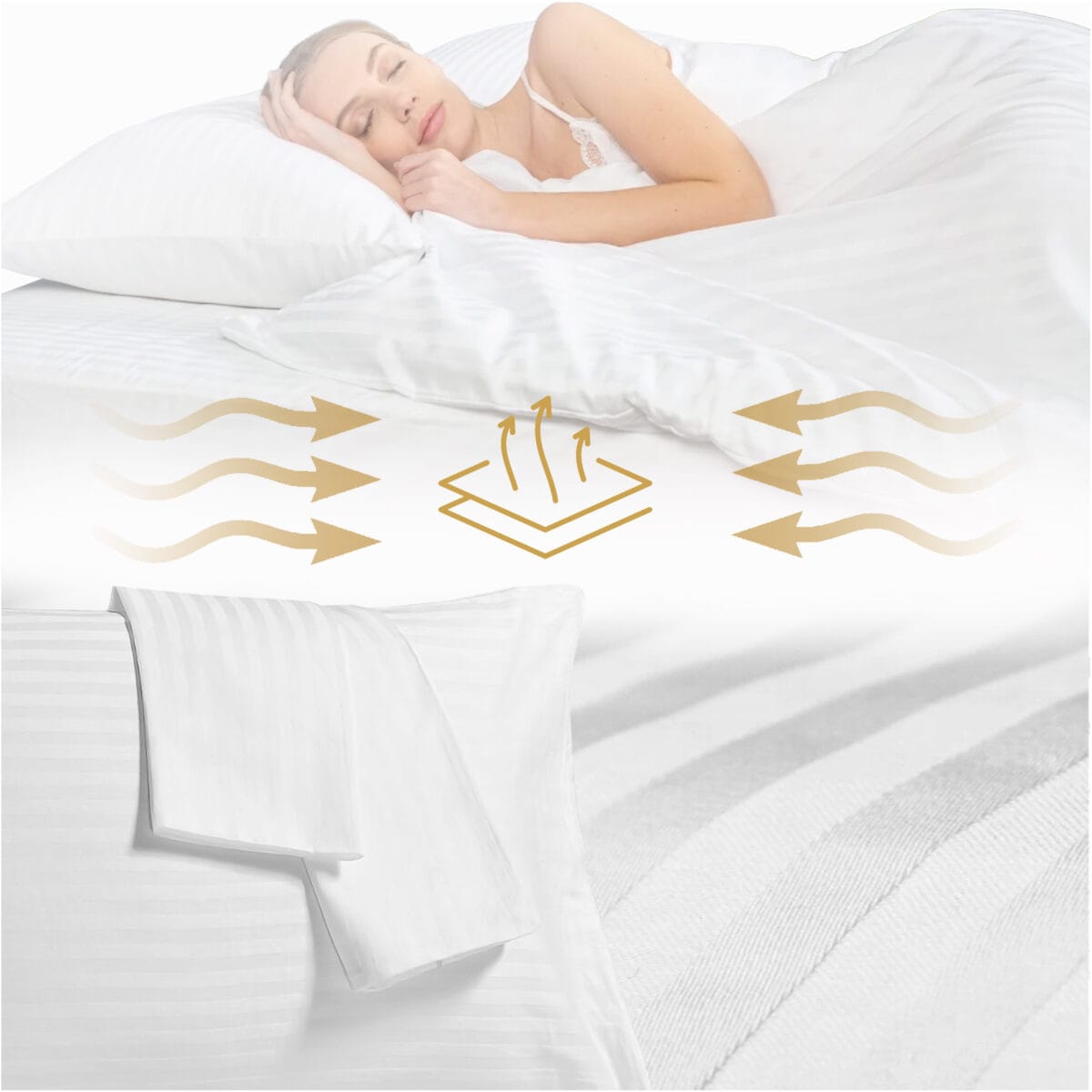 cyrkulacja cyrkulacja